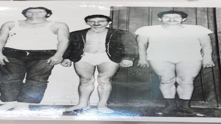 Fue el Ejército: reportes por la DFS sobre la matanza del 68