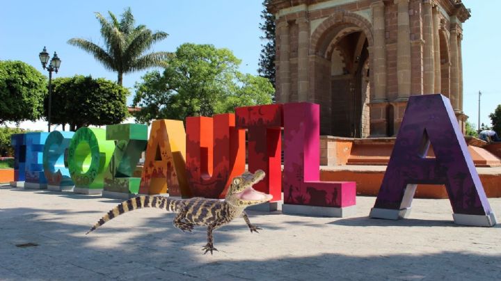 FOTOS | Lagarto se “paseaba” por calles de Tecozautla; fue capturado