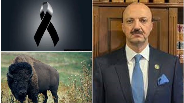 Cazador mexicano muere embestido en Argentina