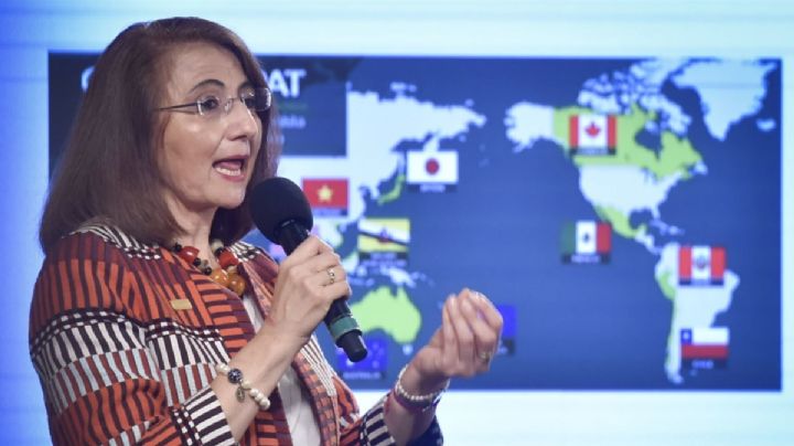 ¿A qué funcionaria de Economía corrieron con la llegada de Buenrostro?