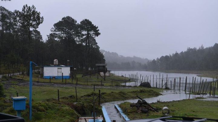 Manifestantes de Las Vigas abren válvulas de agua tras protestas