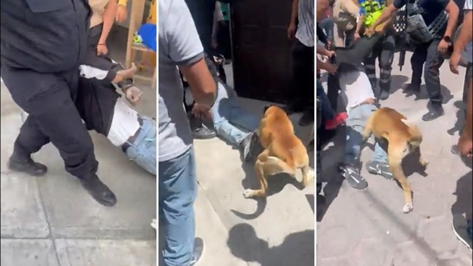 Un perro de Tecamachalco atrajo la atención en redes sociales luego de que se difundiera un video en el que participa, junto con pobladores, en un intento de linchamiento contra un ladrón