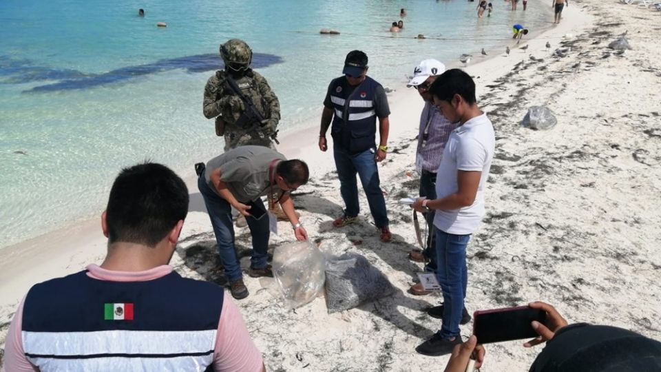 Un joven de 26 años, que trabaja como salvavidas en un establecimiento de la zona hotelera, fue el que se percató de los restos del animal debido al olor fétido que despedía