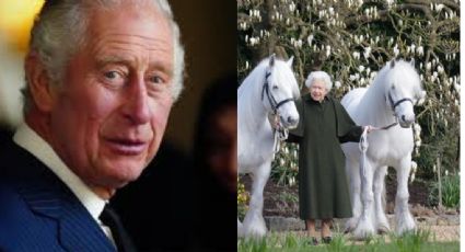 El rey Carlos III renuncia a la herencia de su madre: venderá los caballos de la Reina Isabel II
