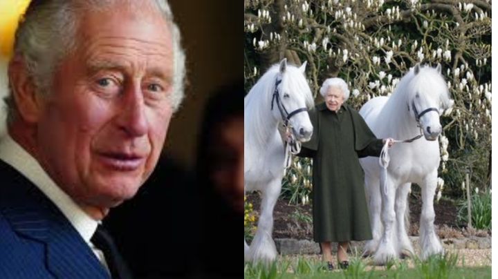 El rey Carlos III renuncia a la herencia de su madre: venderá los caballos de la Reina Isabel II