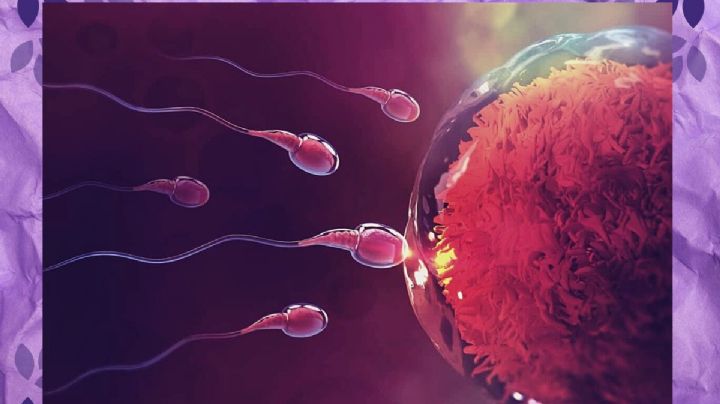 La concepción: Mitos a derribar a través de una óptica femenina