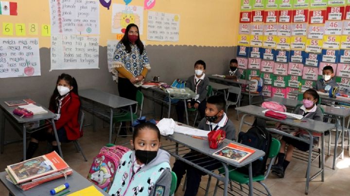 Frena SEP programa piloto del nuevo Plan de Estudios tras amparos