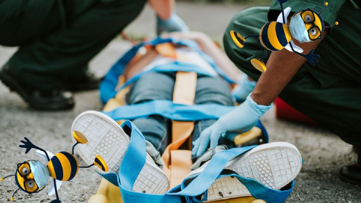 Adulto mayor en estado grave tras ataque de un centenar de abejas en Huejutla