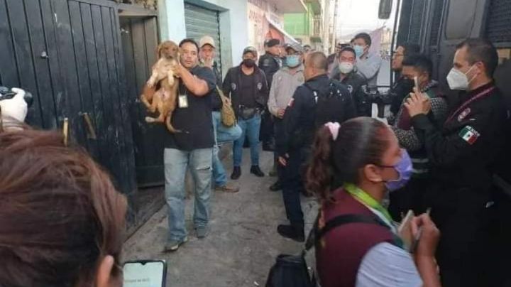 Detiene al "Berna" quien vendía tacos de perro en Neza