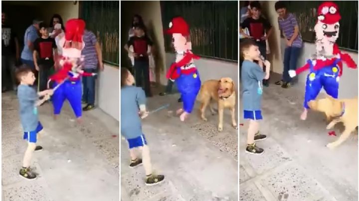 VIDEO | Lomito se desespera y ayuda a festejado a partir su piñata