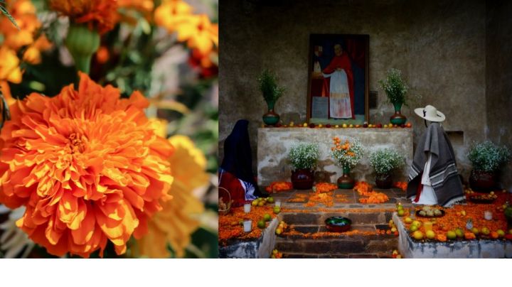 VIDEO: ¿Cuál es el origen del Día de Muertos en México?