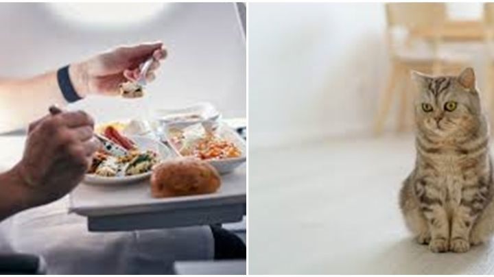 VIDEO: El "come gatos" de Azcapotzalco ataca de nuevo; exigen su captura