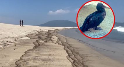 VIDEO: el derrame de Pemex en Salina Cruz que contamina playas de Oaxaca