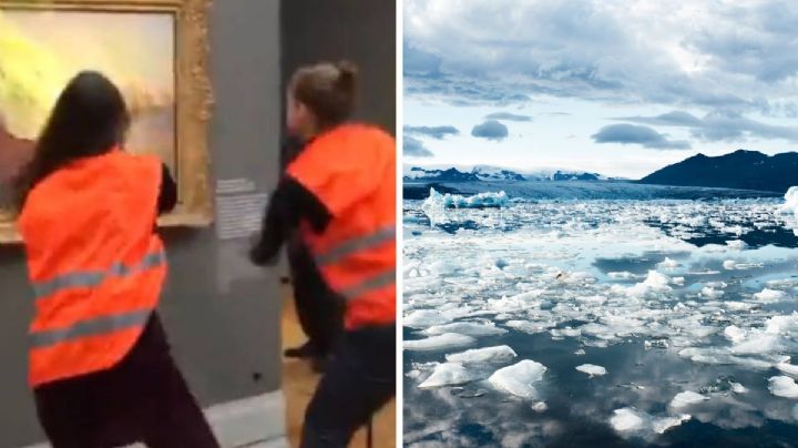 “Ninguna pintura fue dañada y nuestro planeta sigue muriendo”