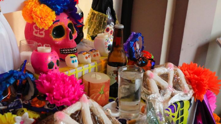 En Xalapa pondrán el altar de muertos más grande del mundo
