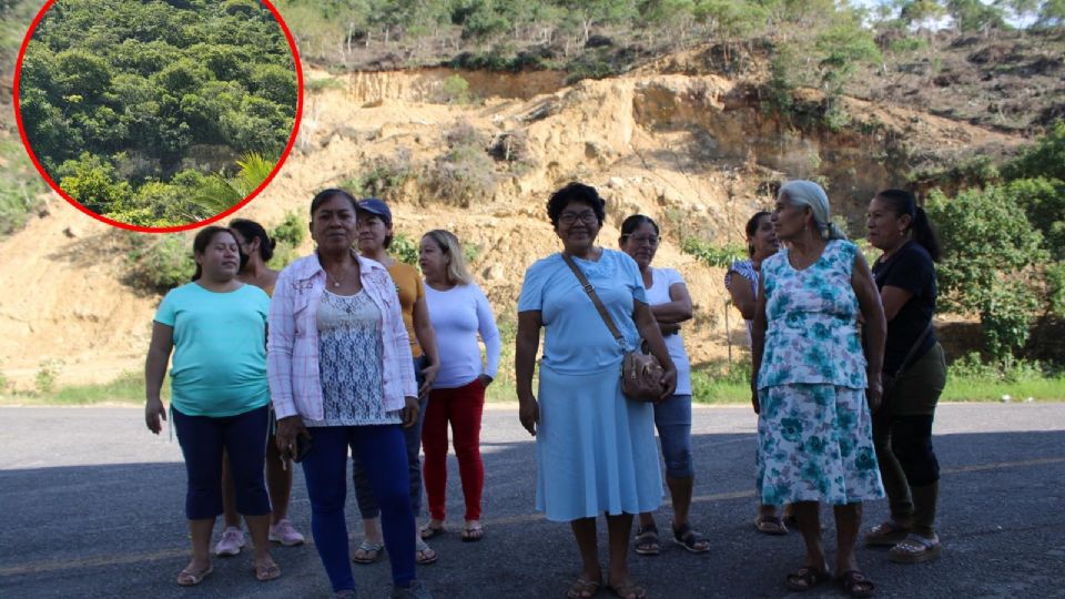 Su lucha se intensificó el sábado 15 de este mes, debido a que notaron que la maquinaria no se detenía y avanzaba hacia arriba con los trabajos que, en principio, serían de limpia, pero luego vieron que se trataba de una deforestación sin precedente.