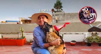 Mascotas: el jugoso y millonario lucro que nace del amor