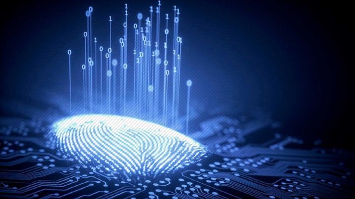 Uso de datos personales en el contexto electoral