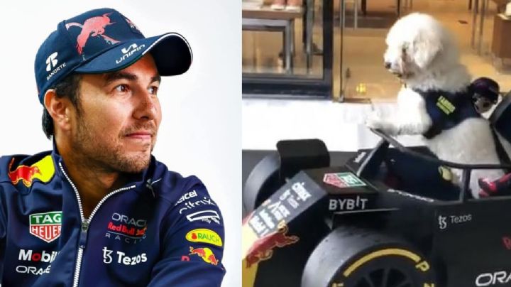 VIDEO: Conoce a Fabbio, el perrito que se hizo viral por caracterizarse como Checo Pérez