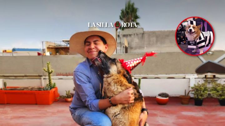 Mascotas: el jugoso y millonario lucro que nace del amor