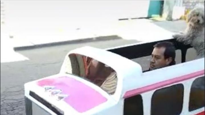 VIDEO: Hombre crea minibús para pasear perritos en Edomex