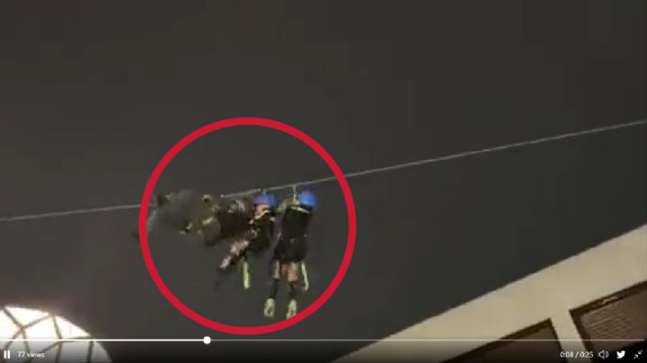 VIDEO:  Niños se impactan entre sí en "Tirolesa" de Town Square Metepec