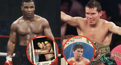 Las estampas panini de Julio César Chávez y Mike Tyson cotizadas en miles de pesos