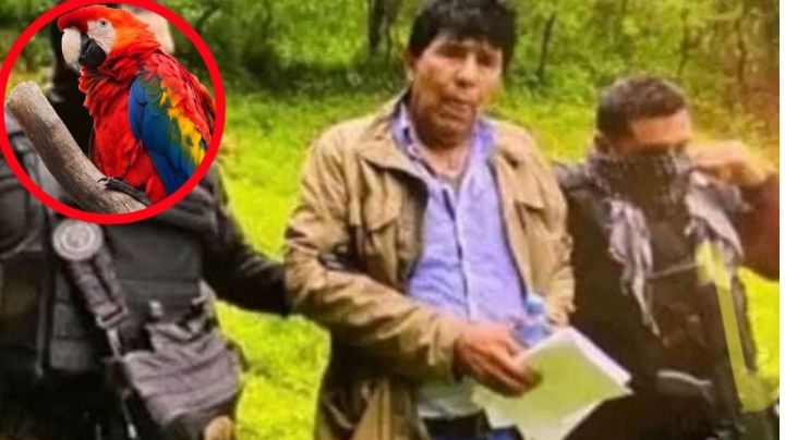 Rafael Caro Quintero: así tejió su traición al "Chapo" Guzmán y al cártel de Sinaloa