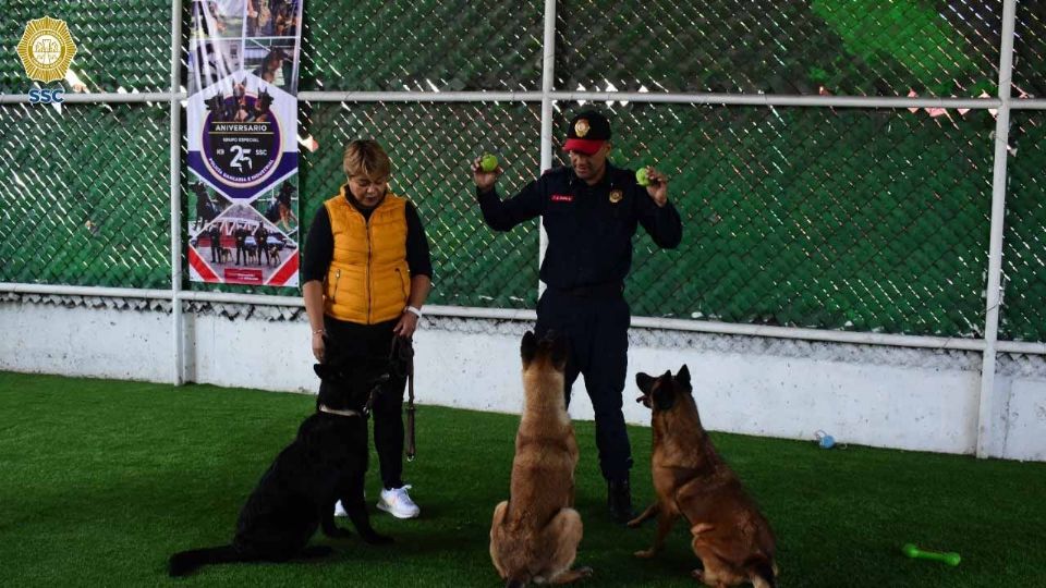 'Apolo' es el primer graduado del curso de obediencia básica de la la PBI.