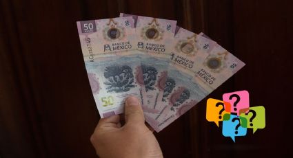 Billetes de ajolotes hasta en 900 mil pesos ¿por qué?