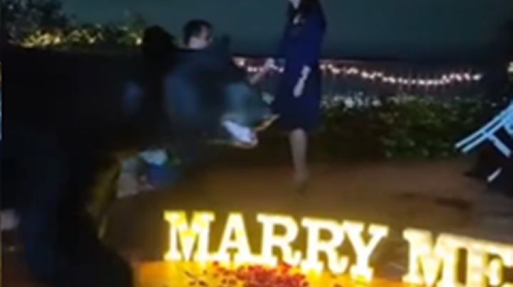 VIDEO: Oso interrumpe la petición de mano… otro que busca un refrigerio