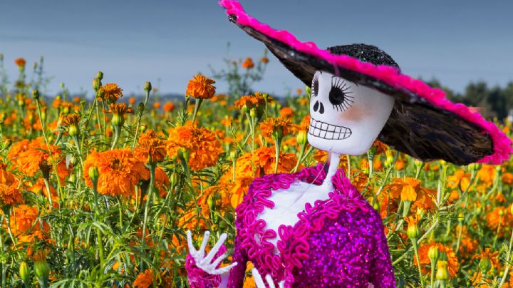 Los consumidores mexicanos aman el Día de Muertos y el Halloween