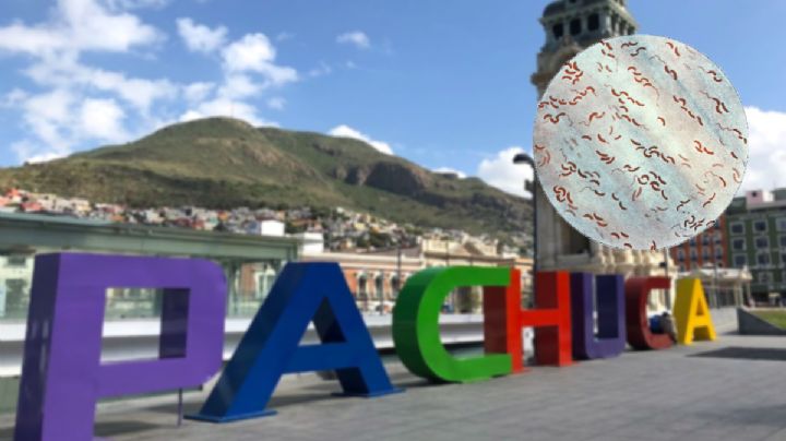 Haití en emergencia por cólera; en Hidalgo Salud emite llamado preventivo