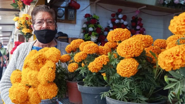 Vendedores de cempasúchil, más afectados por ambulantes que por flor china