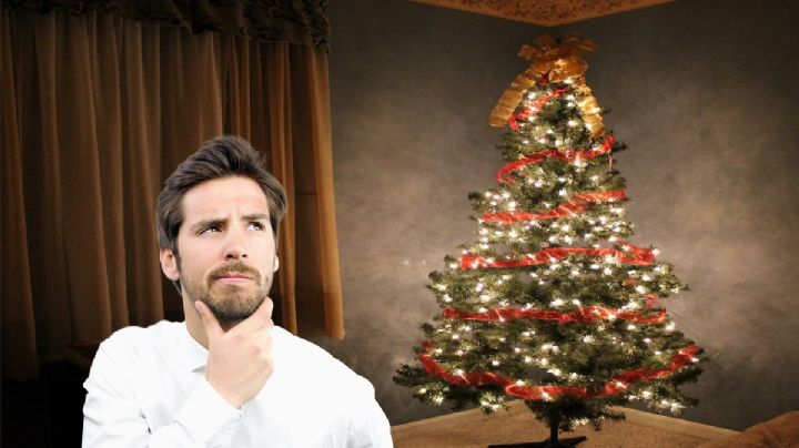 ¿Cuándo se debe poner el árbol de Navidad?