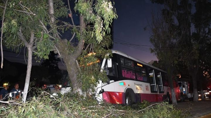 Choca con un árbol camión del Mexibús en Tultitlán, con saldo de 10 lesionados
