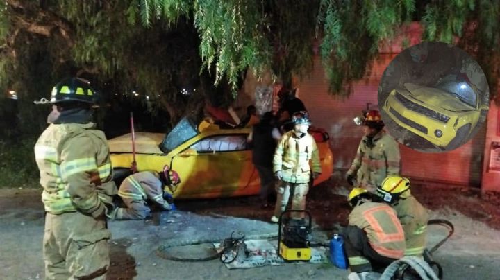 Mueren cinco al chocar Camaro contra árbol