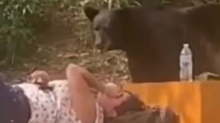 VIDEO: “Me pareció ver a un lindo… osito”; universitaria se lleva menuda sorpresa