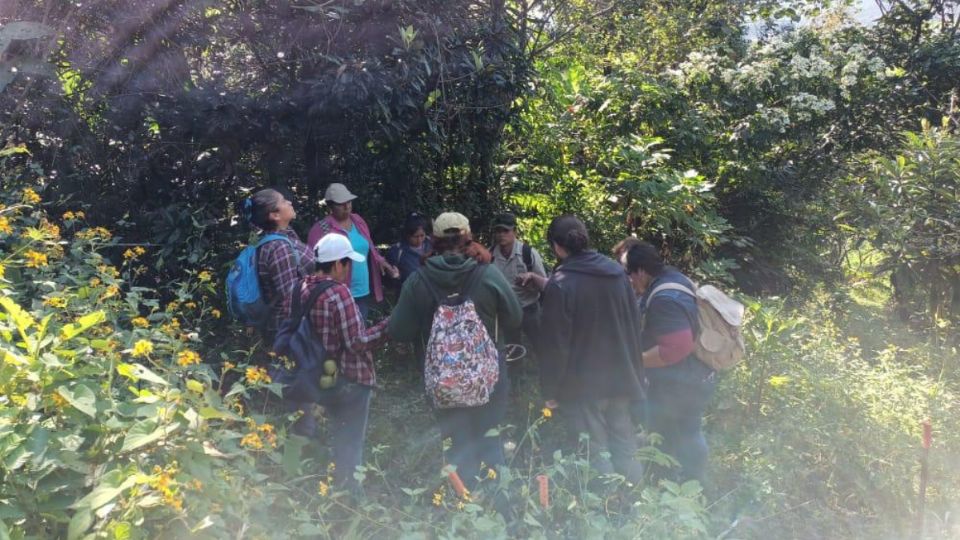 El Colectivo de Familiares de Desaparecidos Córdoba-Veracruz asegura que podrían existir más en este lugar perteneciente a Río Blanco.