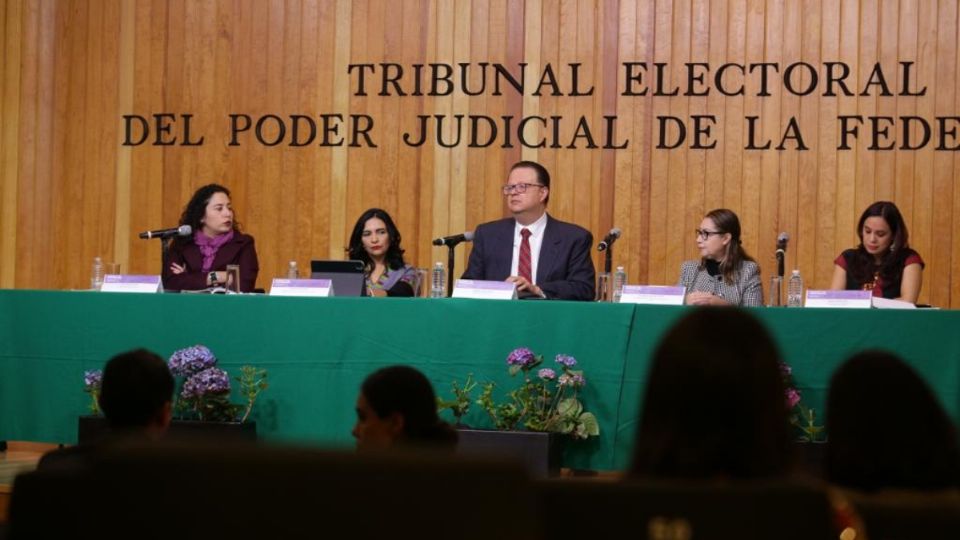 Una reforma electoral que considere que deben contar con alguna fórmula que eficazmente lleve representantes electos