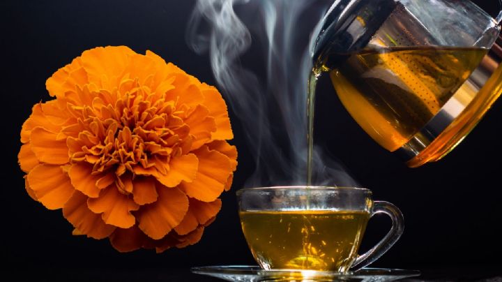 Del altar al botiquín ¿cuál es el uso medicinal de la flor de cempasúchil?