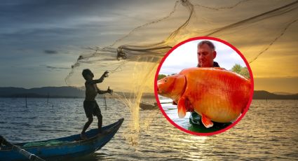 El pez dorado más grande del mundo es hallado en Francia por pescador; este es su tamaño
