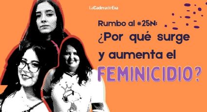 Violencia feminicida: ¿por qué sigue en aumento la violencia vs las mujeres?