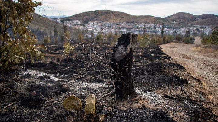 El mundo se acaba: ¿qué preocupa a la ciencia y debe inquietarnos? 10 claves