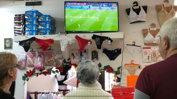 Medio León pegado al televisor