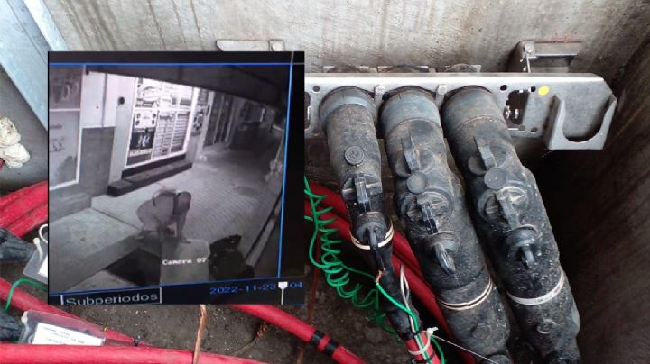 VIDEO: Captan a ladrón robando cable en colonia de Veracruz