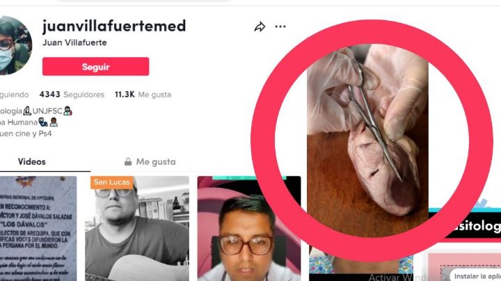 Presunto feminicida de Blanca Arellano presumía órganos en TikTok, en Perú