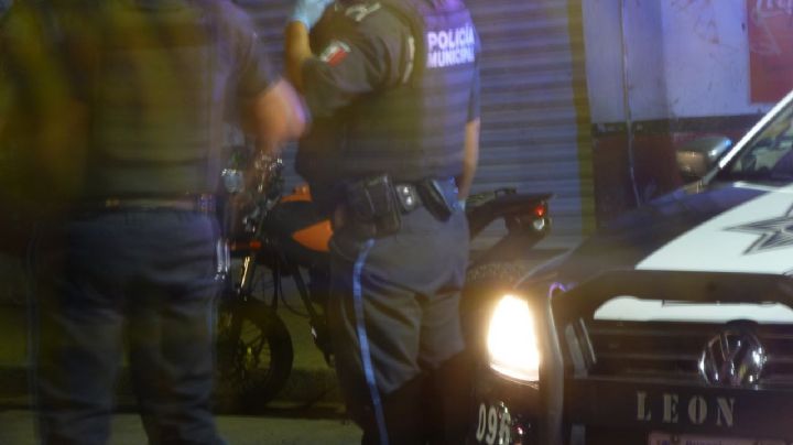 Mueren envenenados Juana y sus cuatro perros