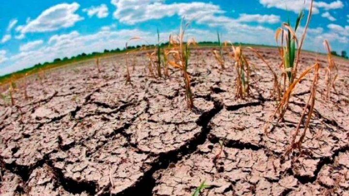 El cambio climático: responsabilidad global y local