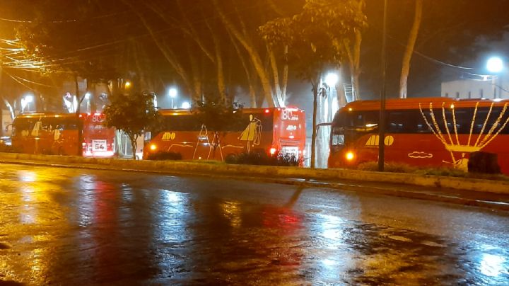 VIDEOS: Así fue el acarreo en autobuses para marcha ProAmlo en Xalapa